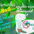 namoka සුවඳ හඳුන්කූරු
